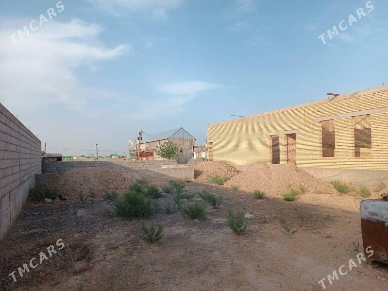 Satlyk jaý - Kaka - img 3