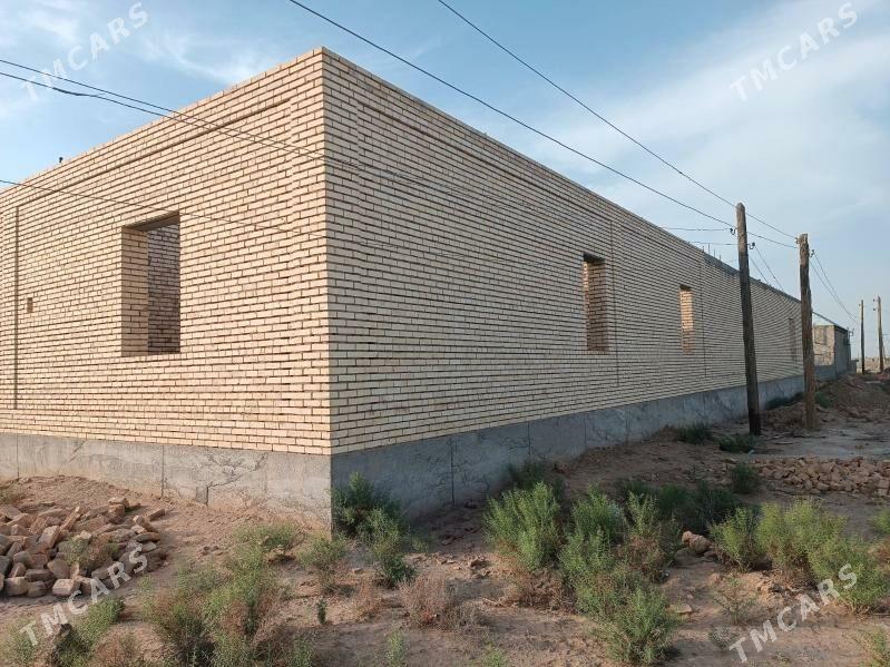 Satlyk jaý - Kaka - img 5