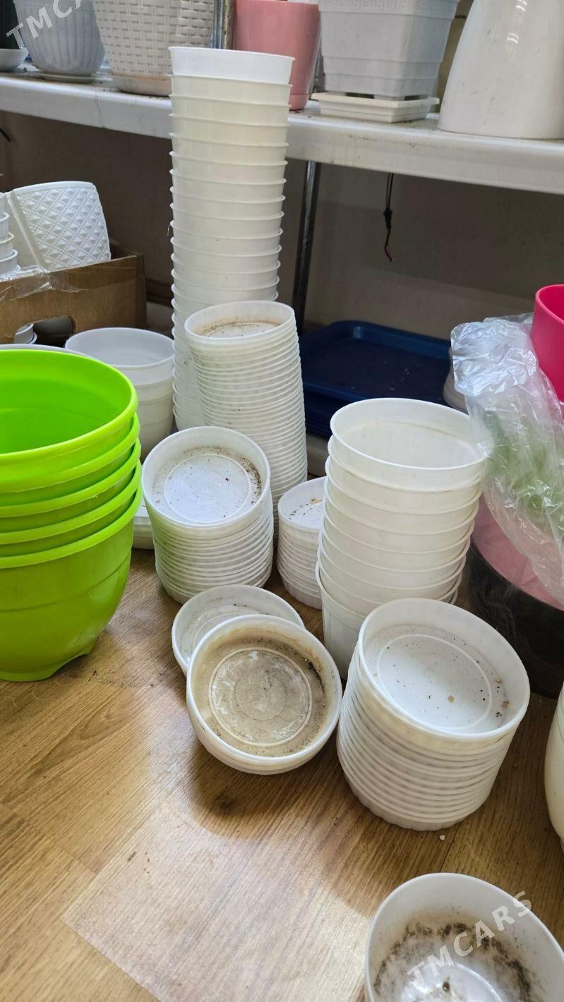 РАСПРОДАЖА ГОРШКОВ - Aşgabat - img 8