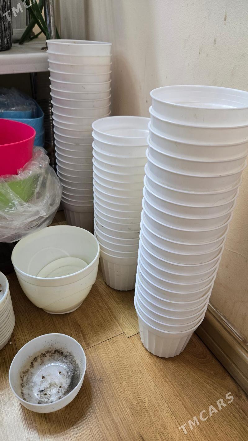 РАСПРОДАЖА ГОРШКОВ - Aşgabat - img 6