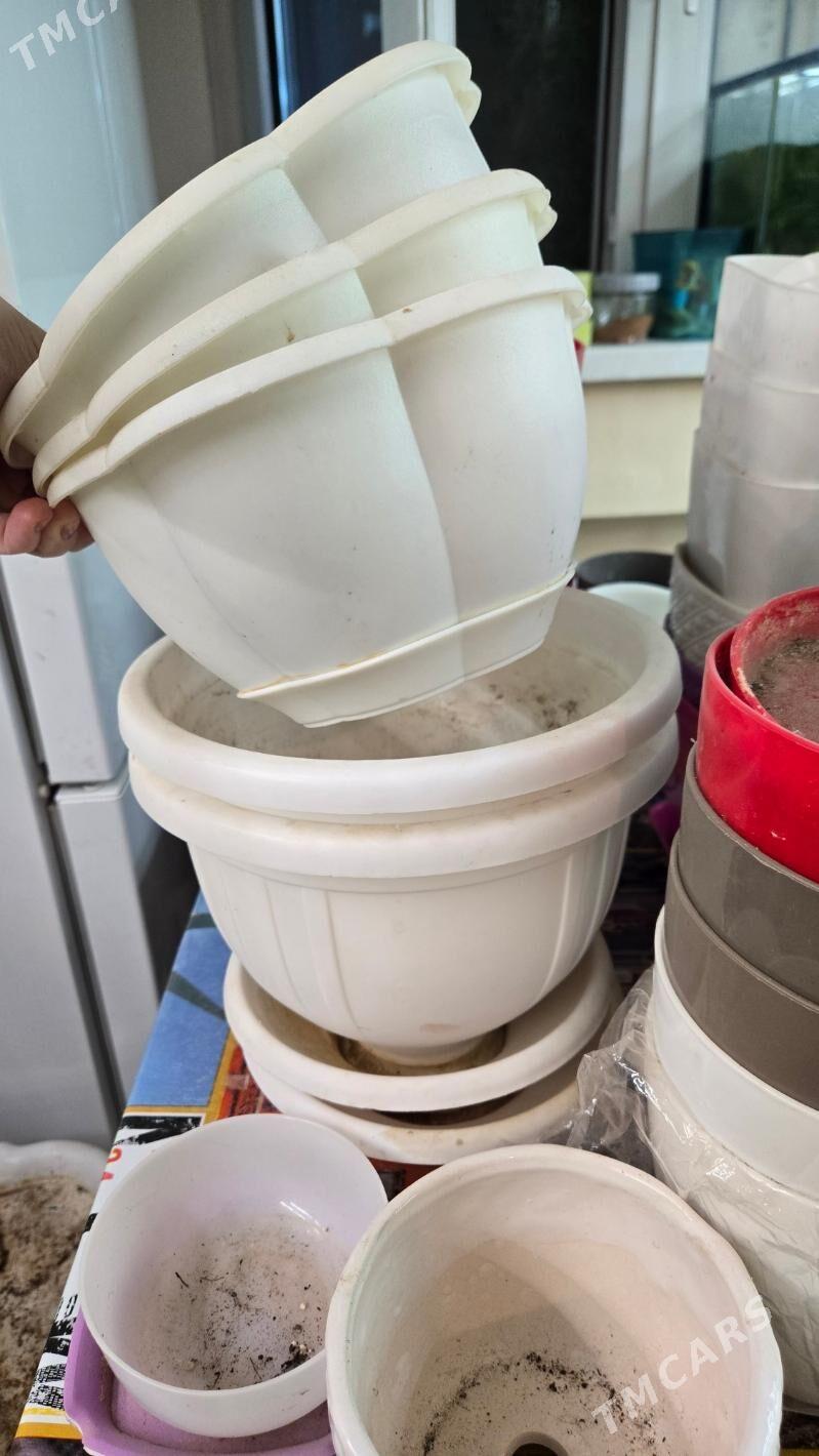 РАСПРОДАЖА ГОРШКОВ - Aşgabat - img 1