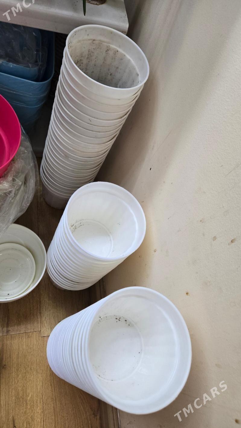 РАСПРОДАЖА ГОРШКОВ - Aşgabat - img 7