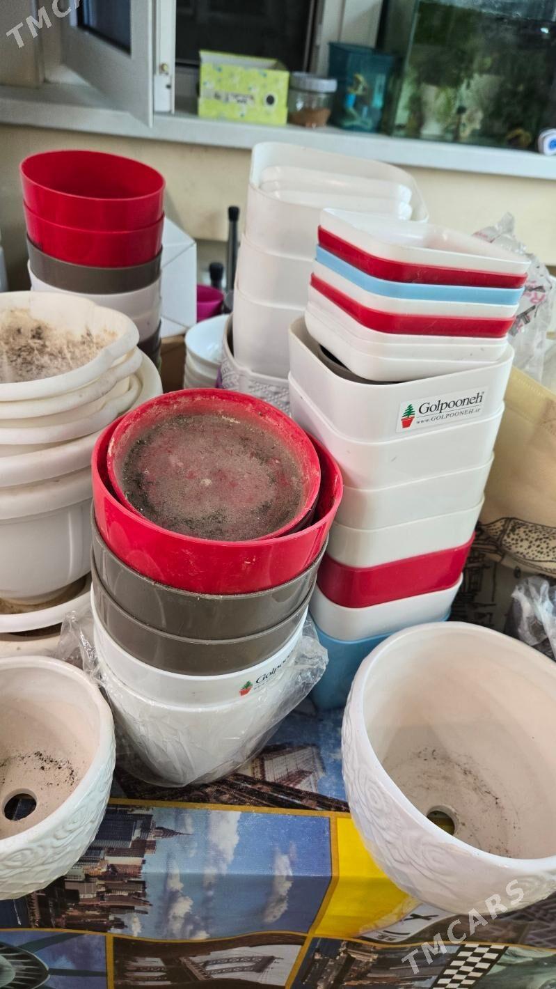 РАСПРОДАЖА ГОРШКОВ - Aşgabat - img 10