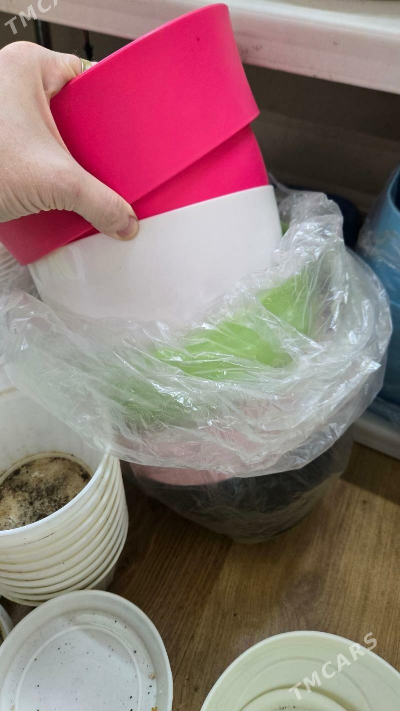 РАСПРОДАЖА ГОРШКОВ - Aşgabat - img 3