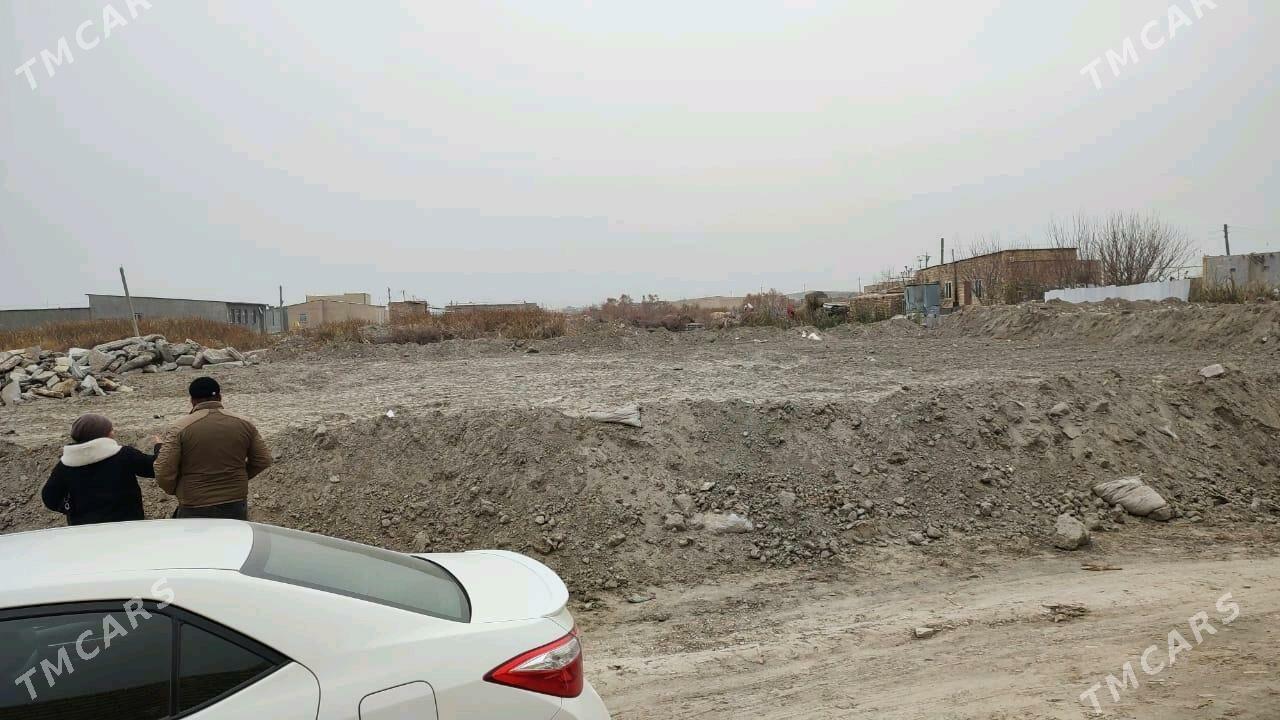 Zaton daca - Türkmenabat - img 2