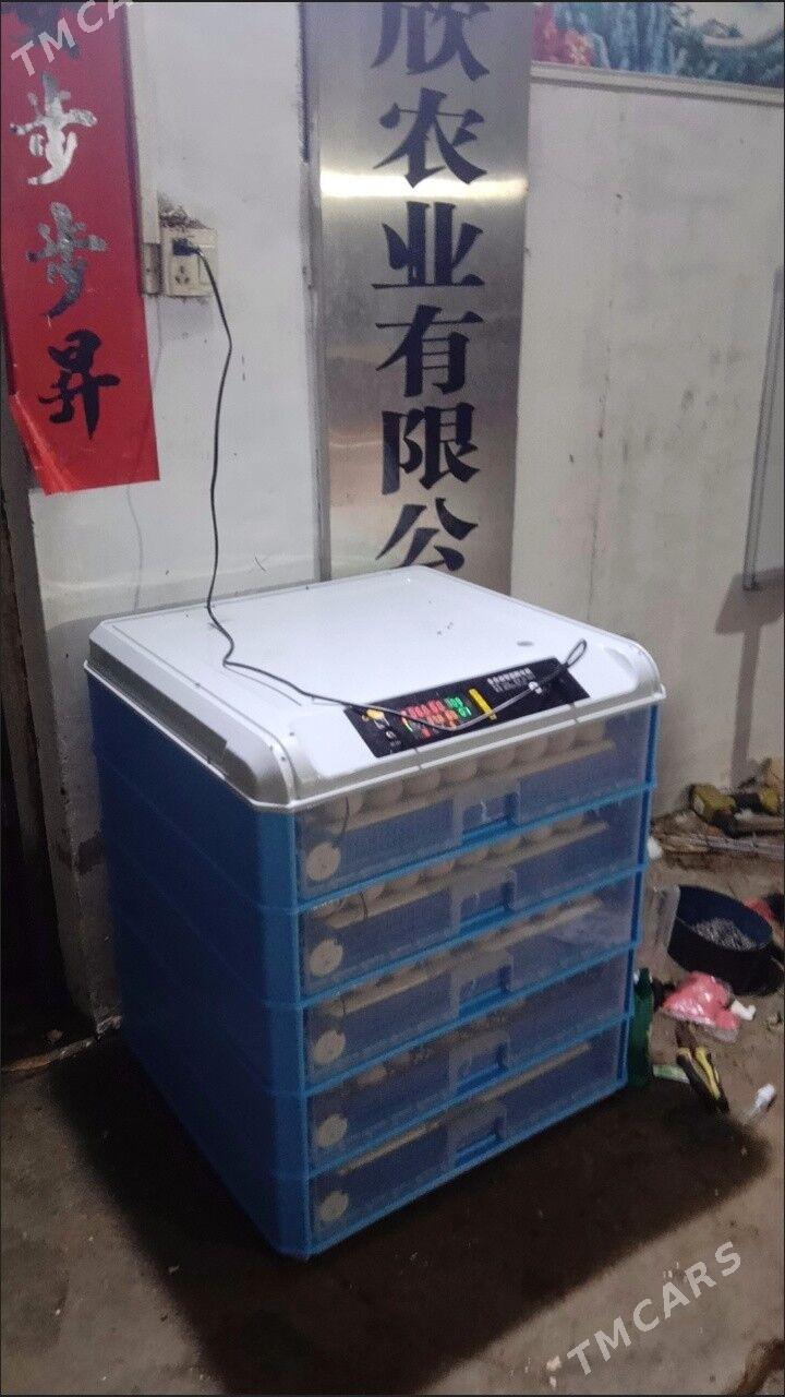 Inkiwator 500 yumurtgalyk - Parahat 7 - img 2