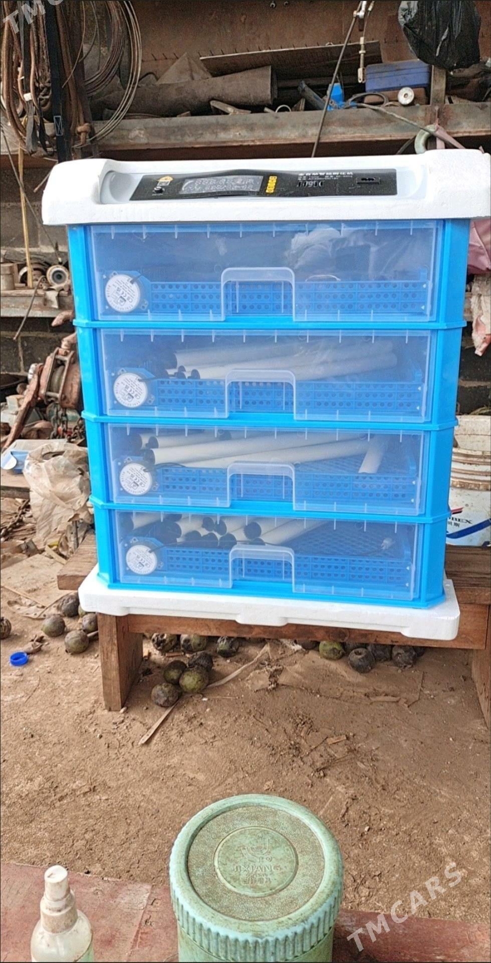 Inkiwator 500 yumurtgalyk - Parahat 7 - img 3