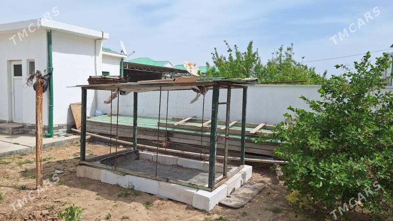 Towuk ketek - Анев - img 2