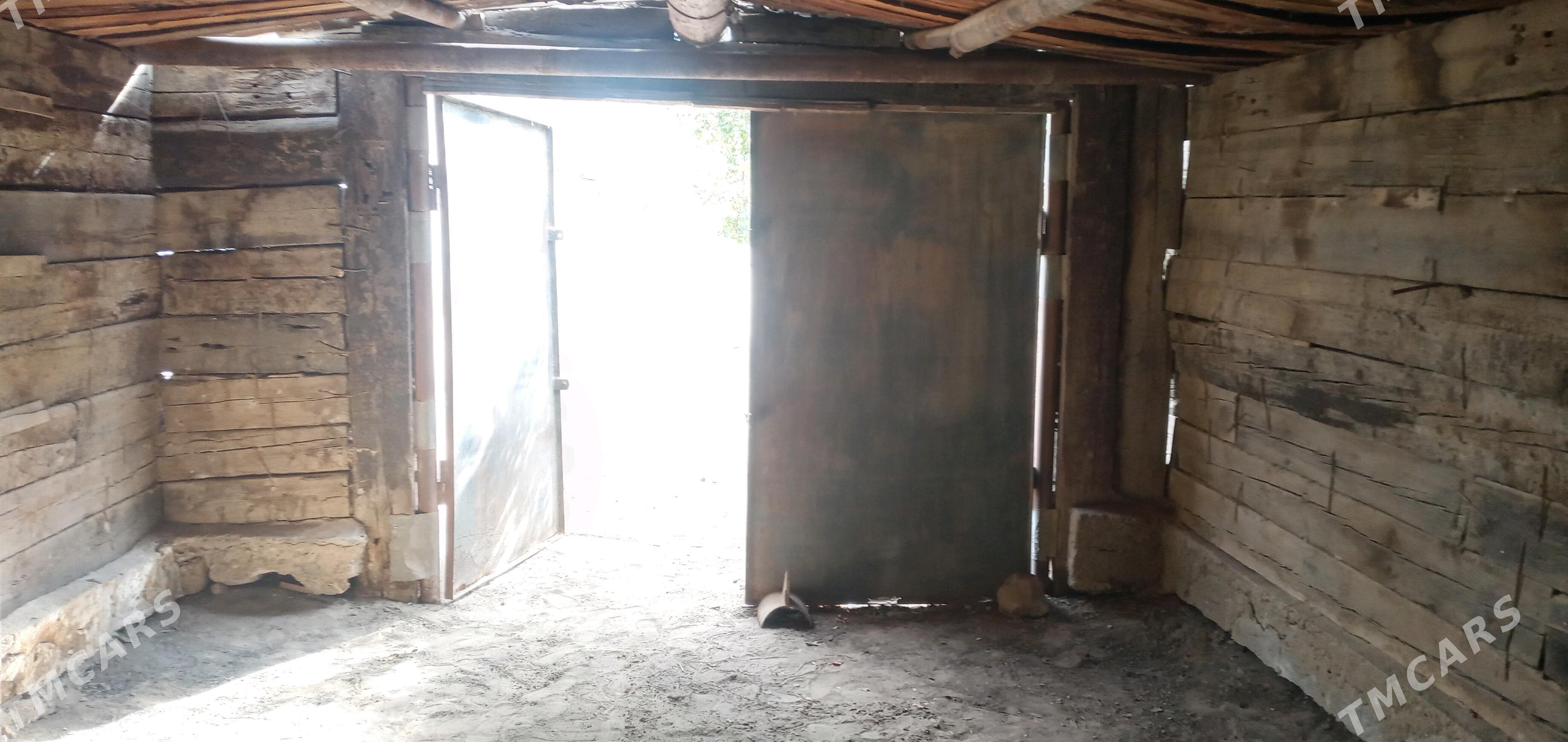 Garas ysbal - Гумдаг - img 9