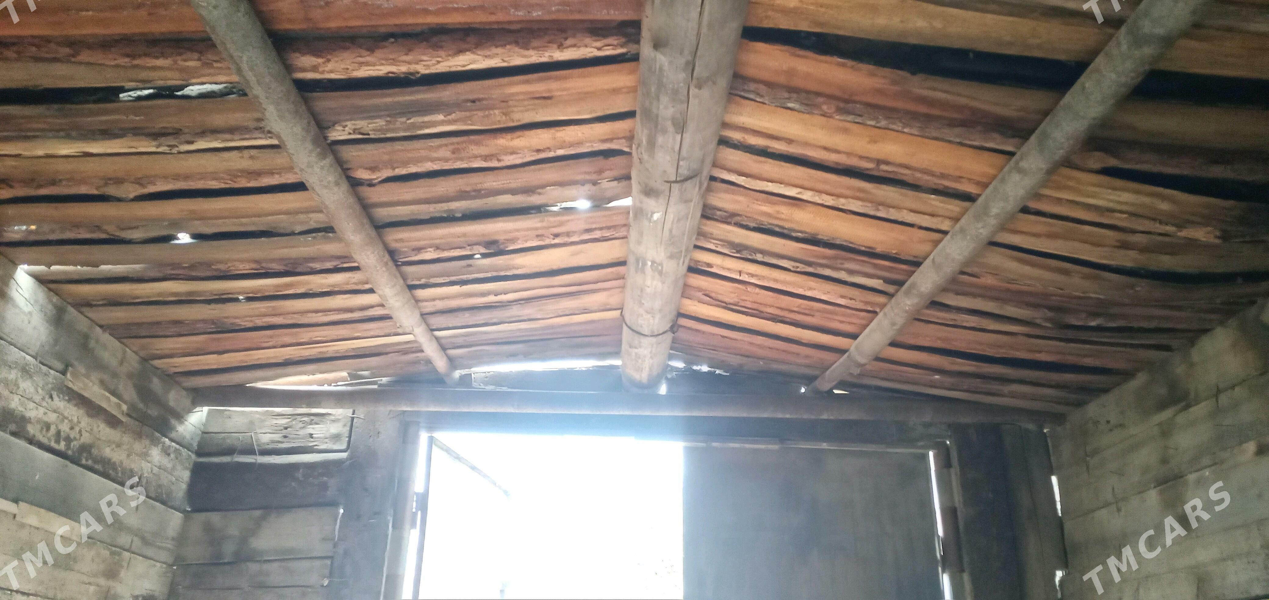 Garas ysbal - Гумдаг - img 3