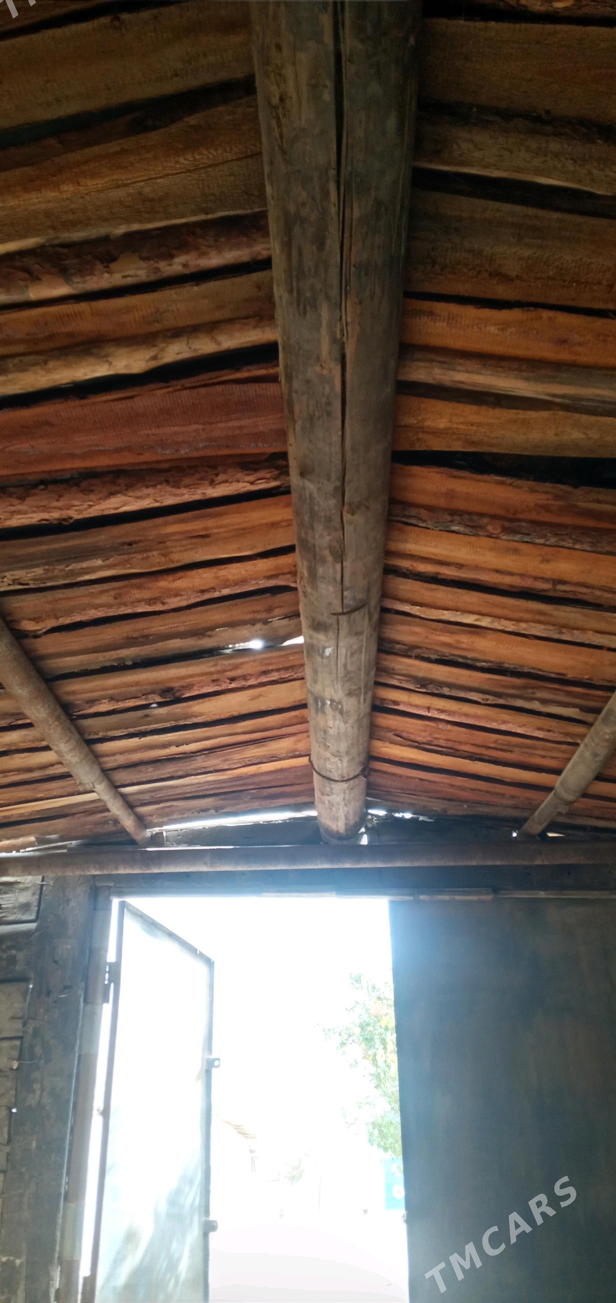 Garas ysbal - Гумдаг - img 4