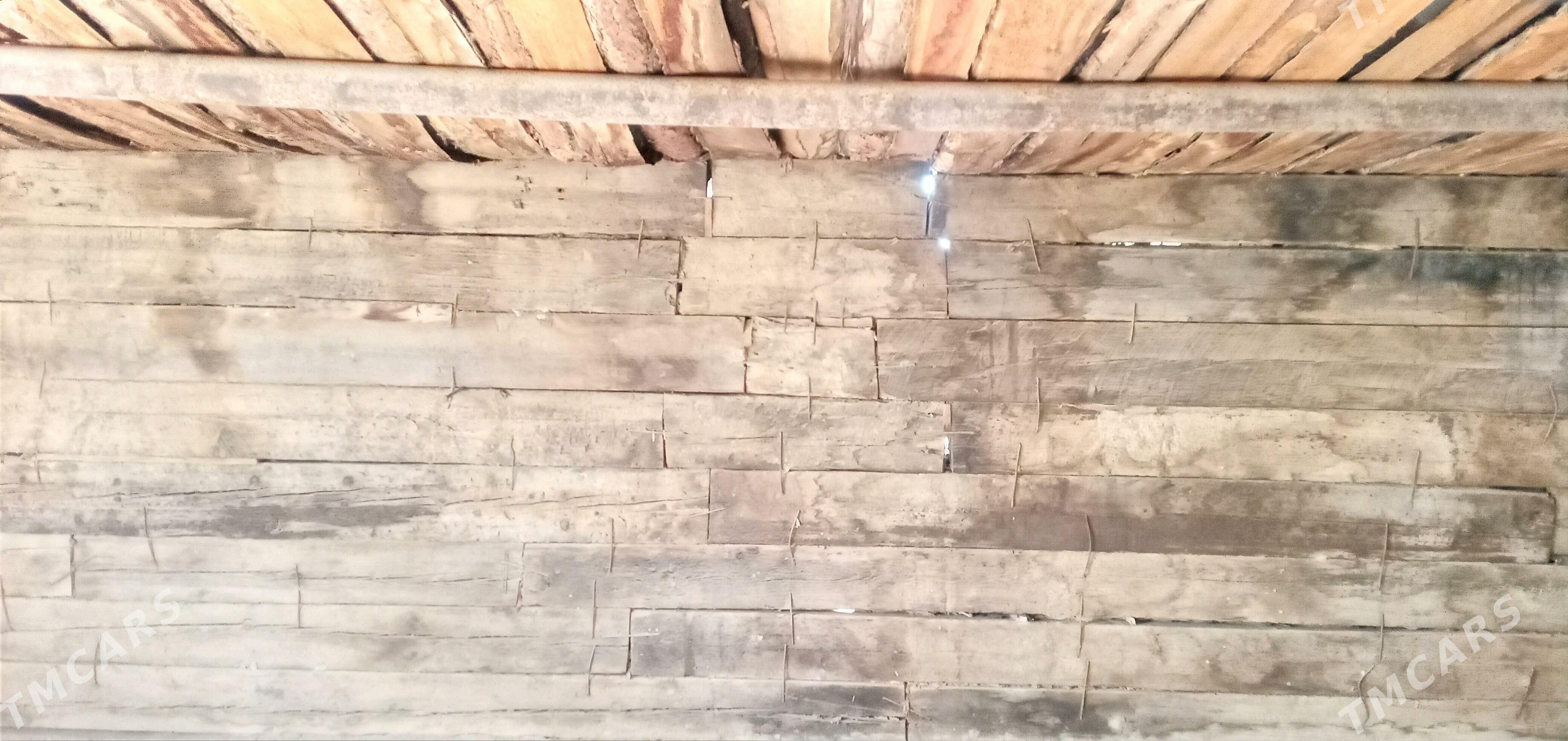 Garas ysbal - Гумдаг - img 8