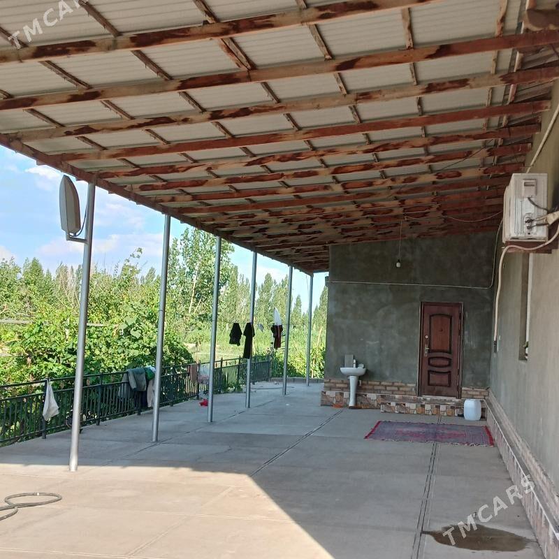 Boldumsaz etr satlyk - Болдумсаз - img 5