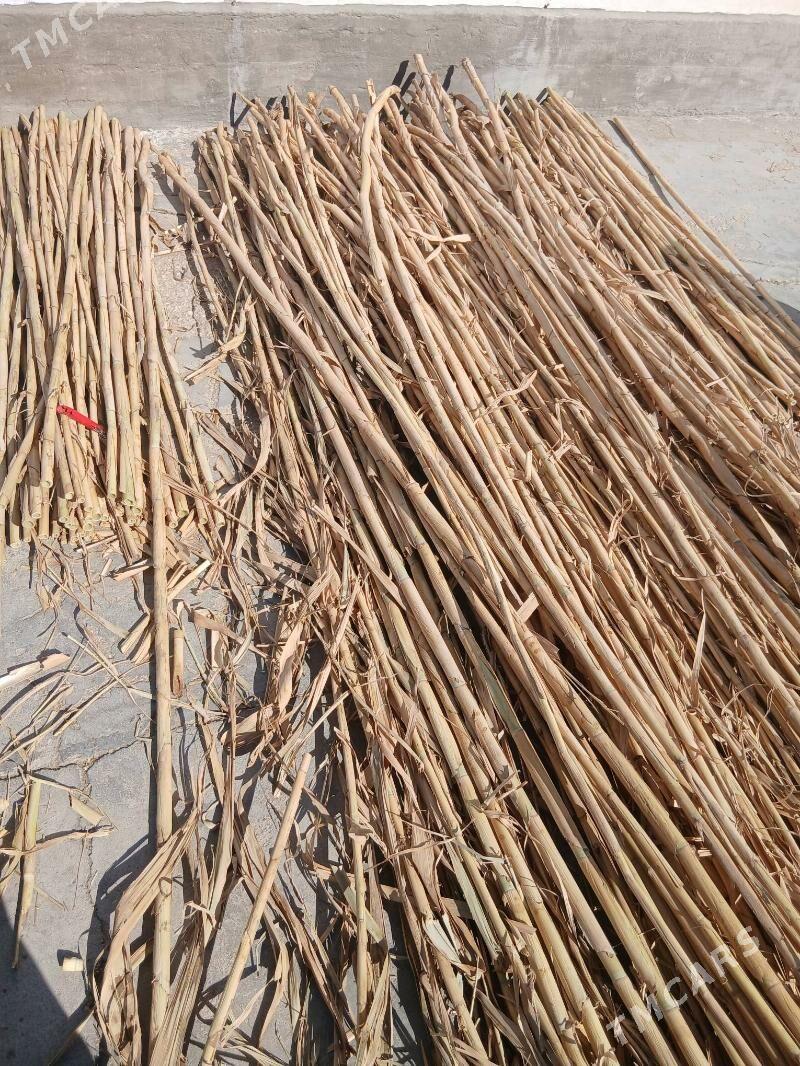 Gamys - Balkanabat - img 4