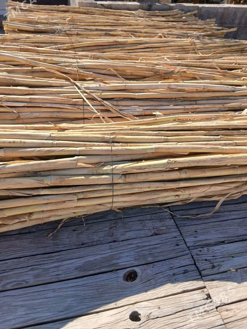 Gamys - Balkanabat - img 3