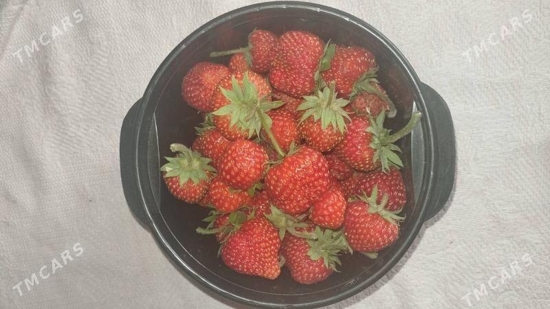 klubnika yer tudana - Кипджак - img 1