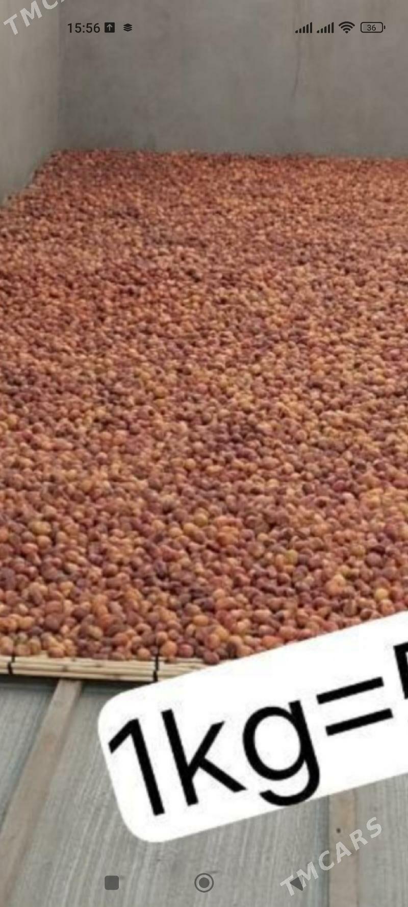 Kak erik - Gurbansoltan Eje - img 3