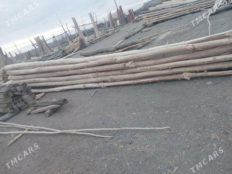 agac - Губадаг - img 2