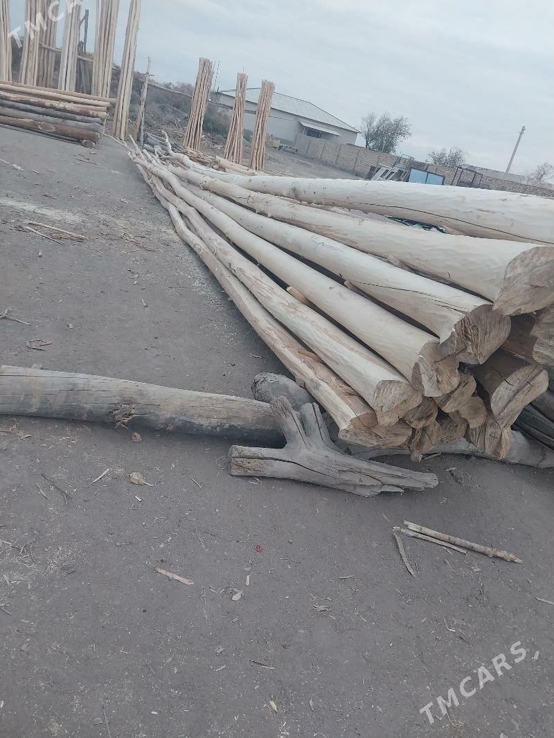 agac - Губадаг - img 3