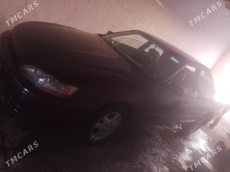 Toyota Windom 1995 - 35 000 TMT - Ходжамбаз - img 2