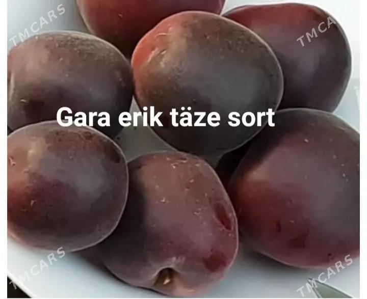 Satlyk gara erik täze sort - Türkmenabat - img 1