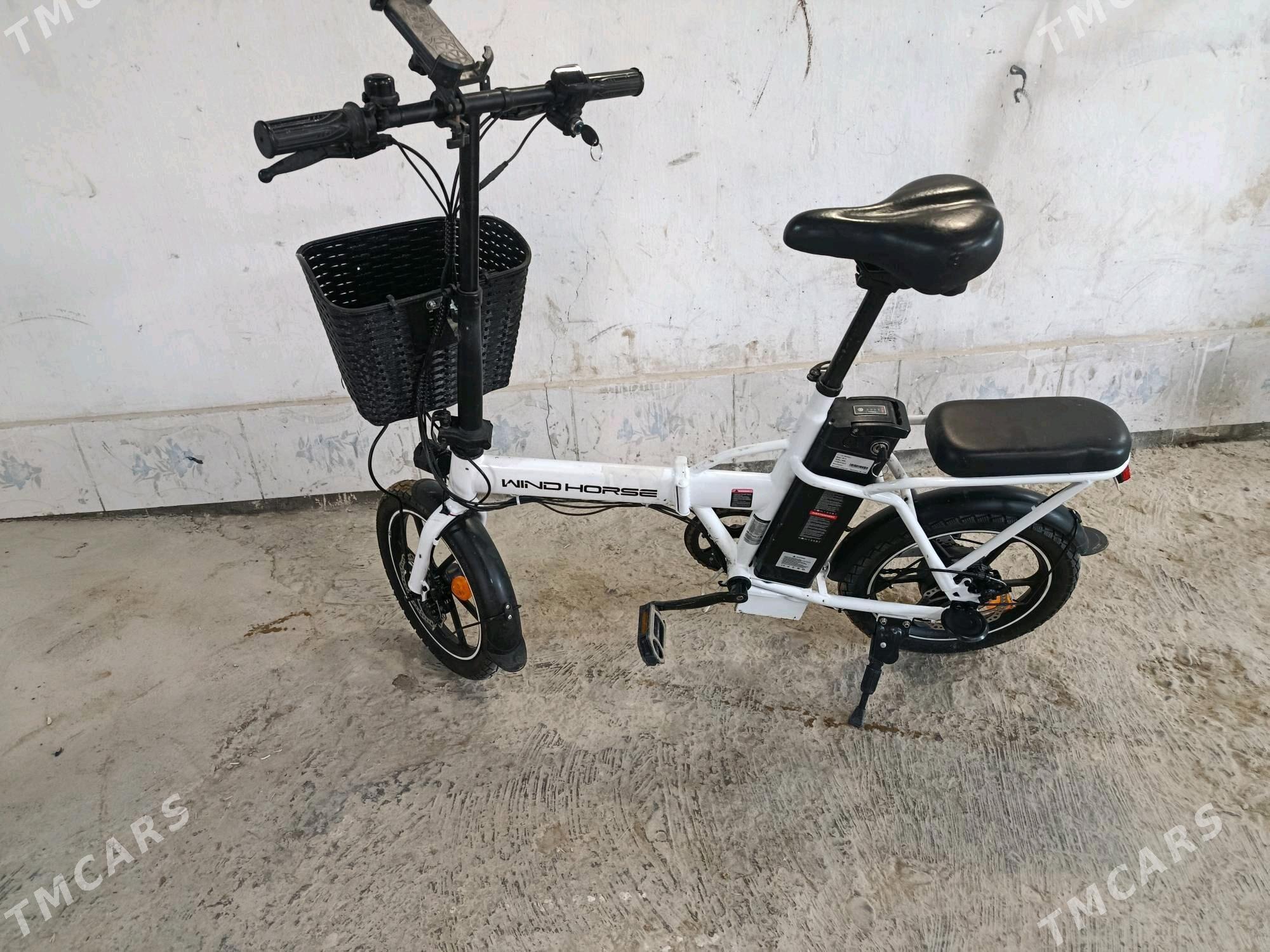 skuter tazeje - Mary - img 4