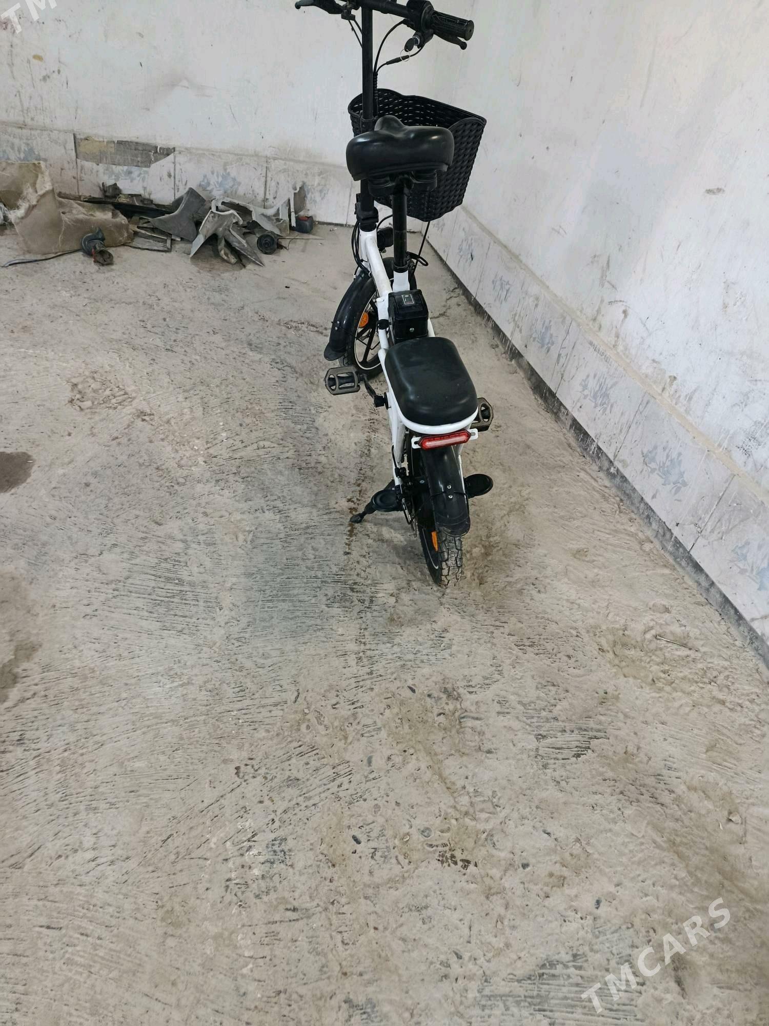 skuter tazeje - Mary - img 2