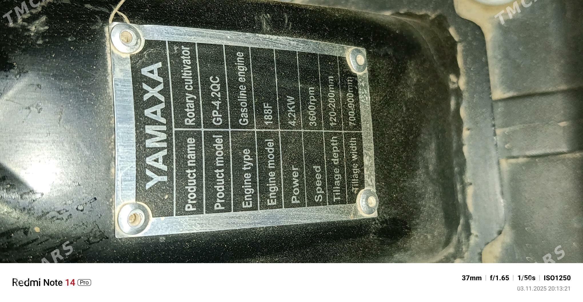 трахтор - Daşoguz - img 3