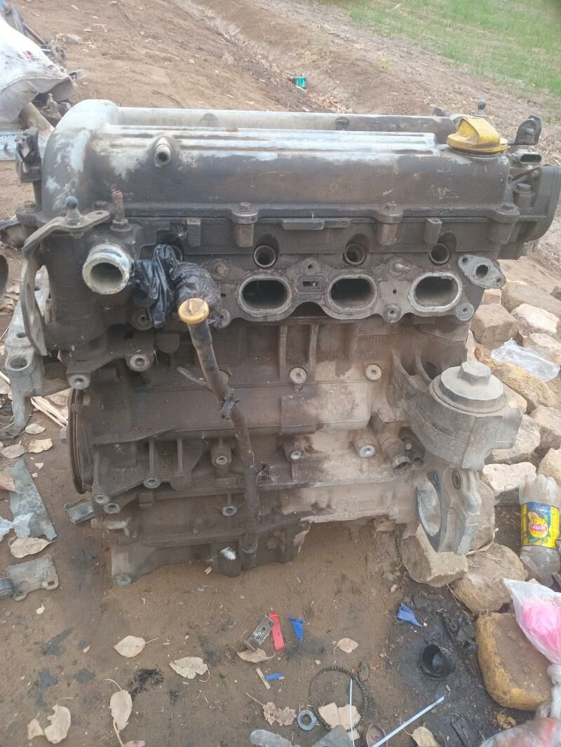 Mator Wetra s 2.2 3 000 TMT - Görogly (Tagta) - img 3