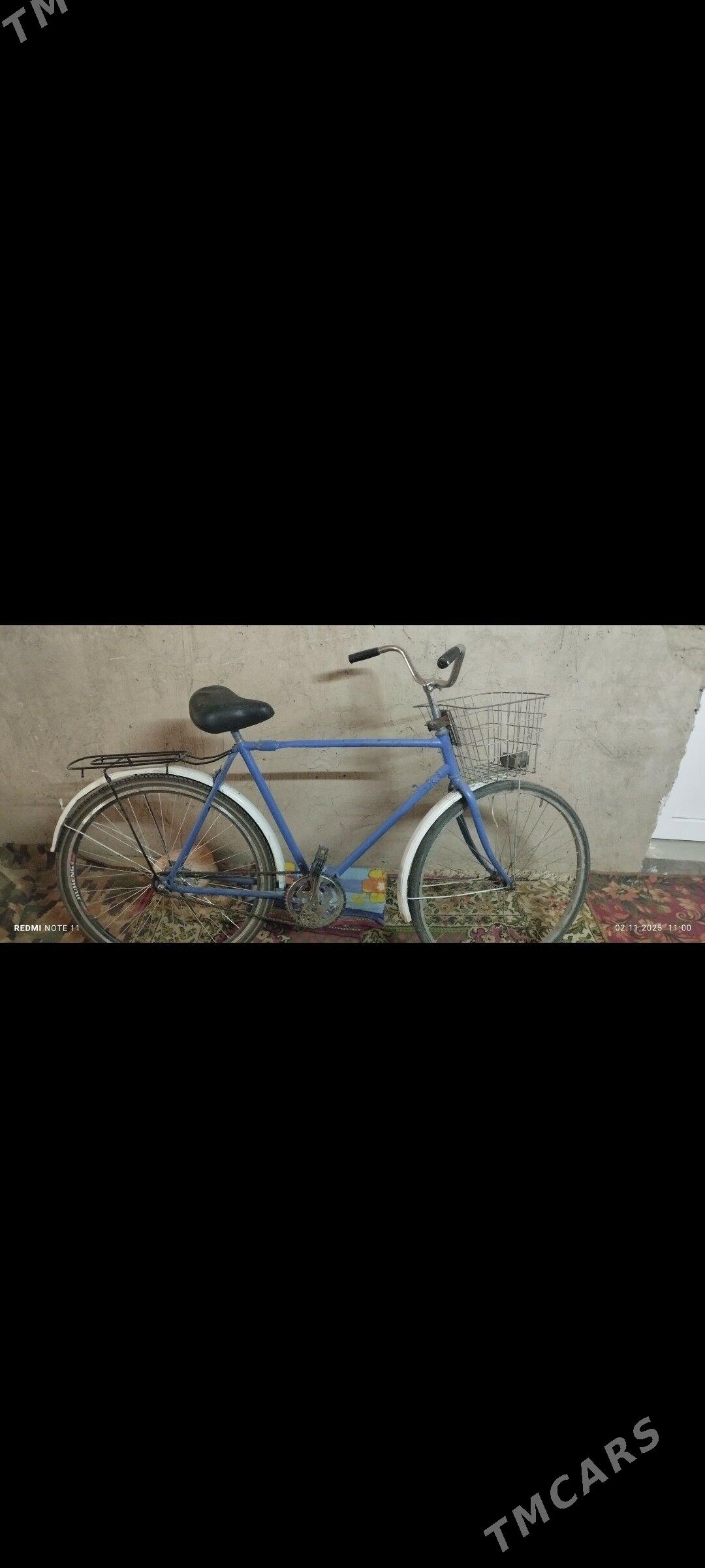 tigir - Daşoguz - img 2