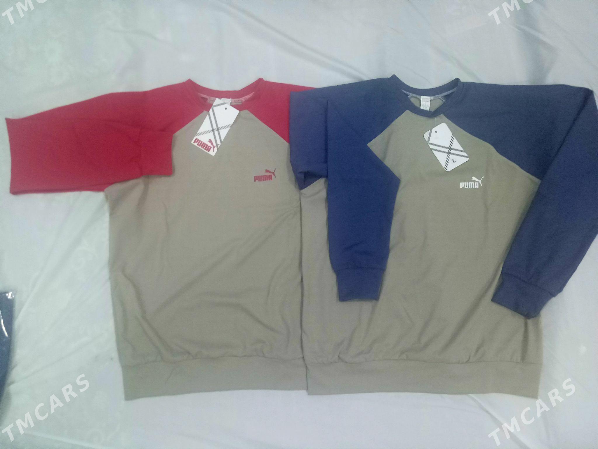 монтона - Daşoguz - img 10