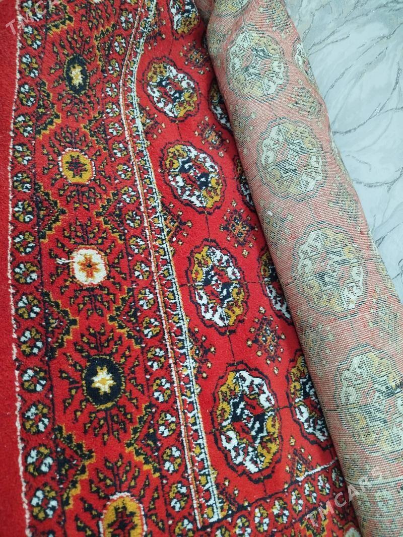 Haly - Şabat etr. - img 1