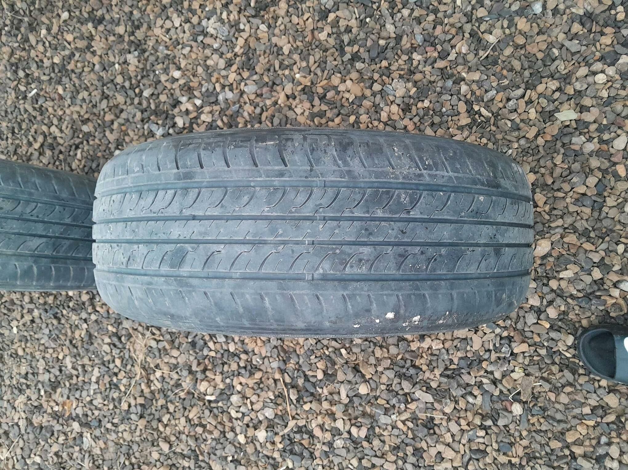 16 lik tiger 300 TMT - Мары - img 1