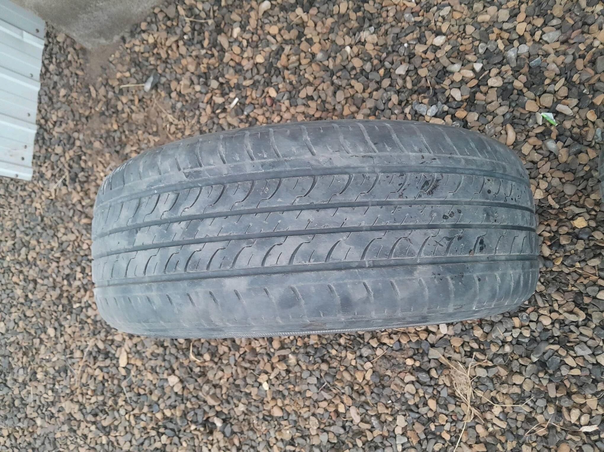 16 lik tiger 300 TMT - Мары - img 2