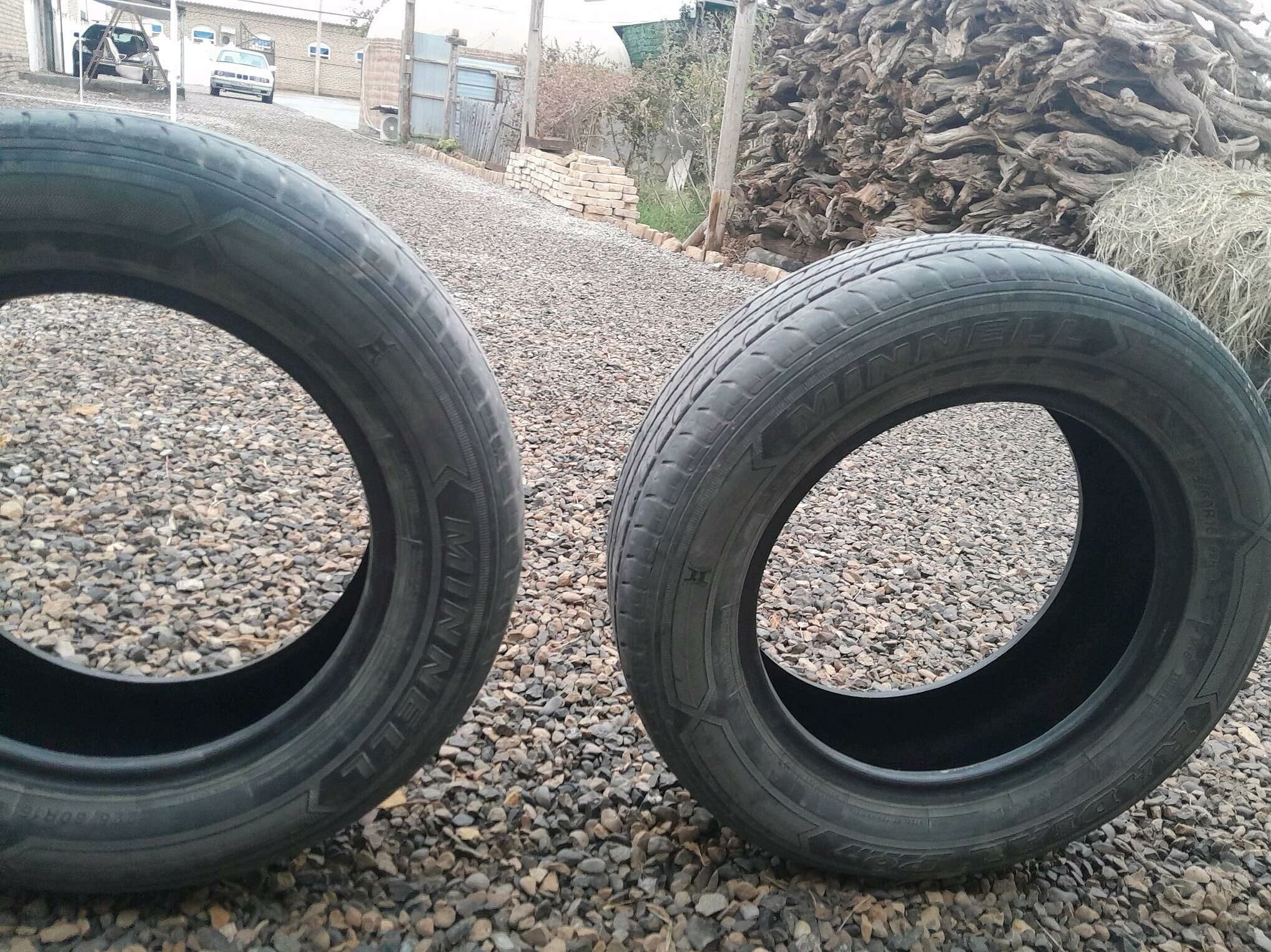 16 lik tiger 300 TMT - Мары - img 5