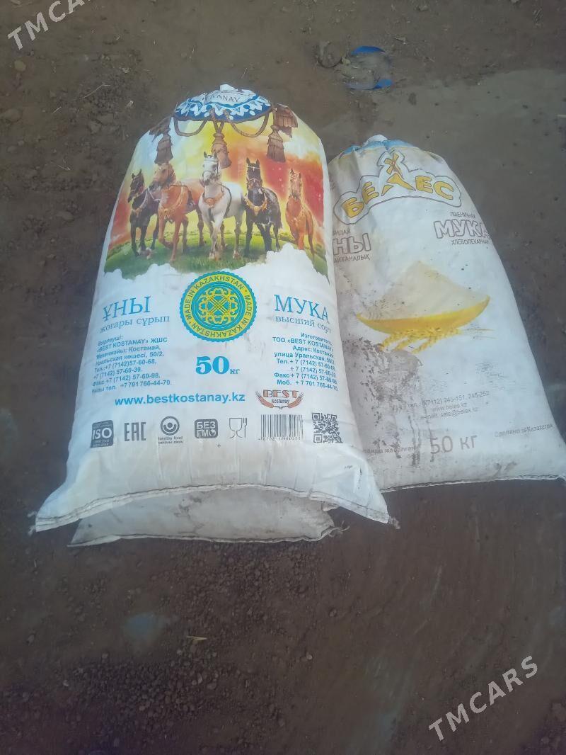 deris ýeri cogany - Ашхабад - img 3