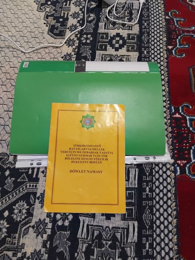 satlyk mellekyer - Ýaşlyk - img 3