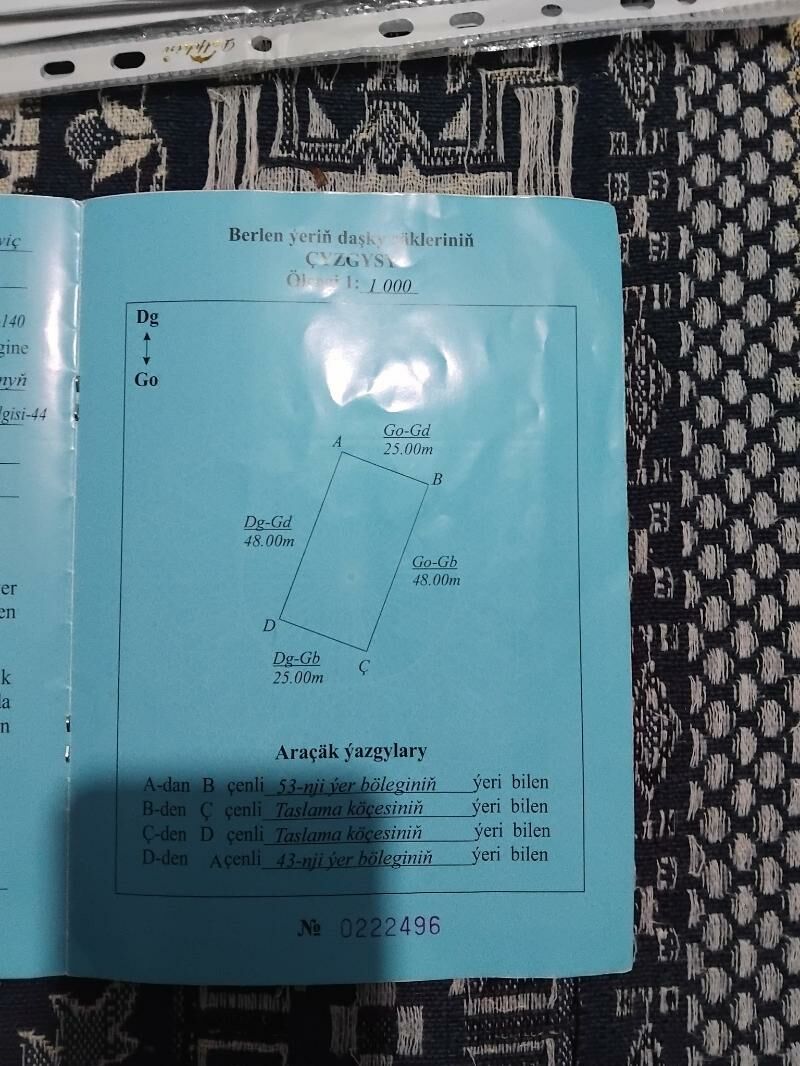 satlyk mellekyer - Ýaşlyk - img 2