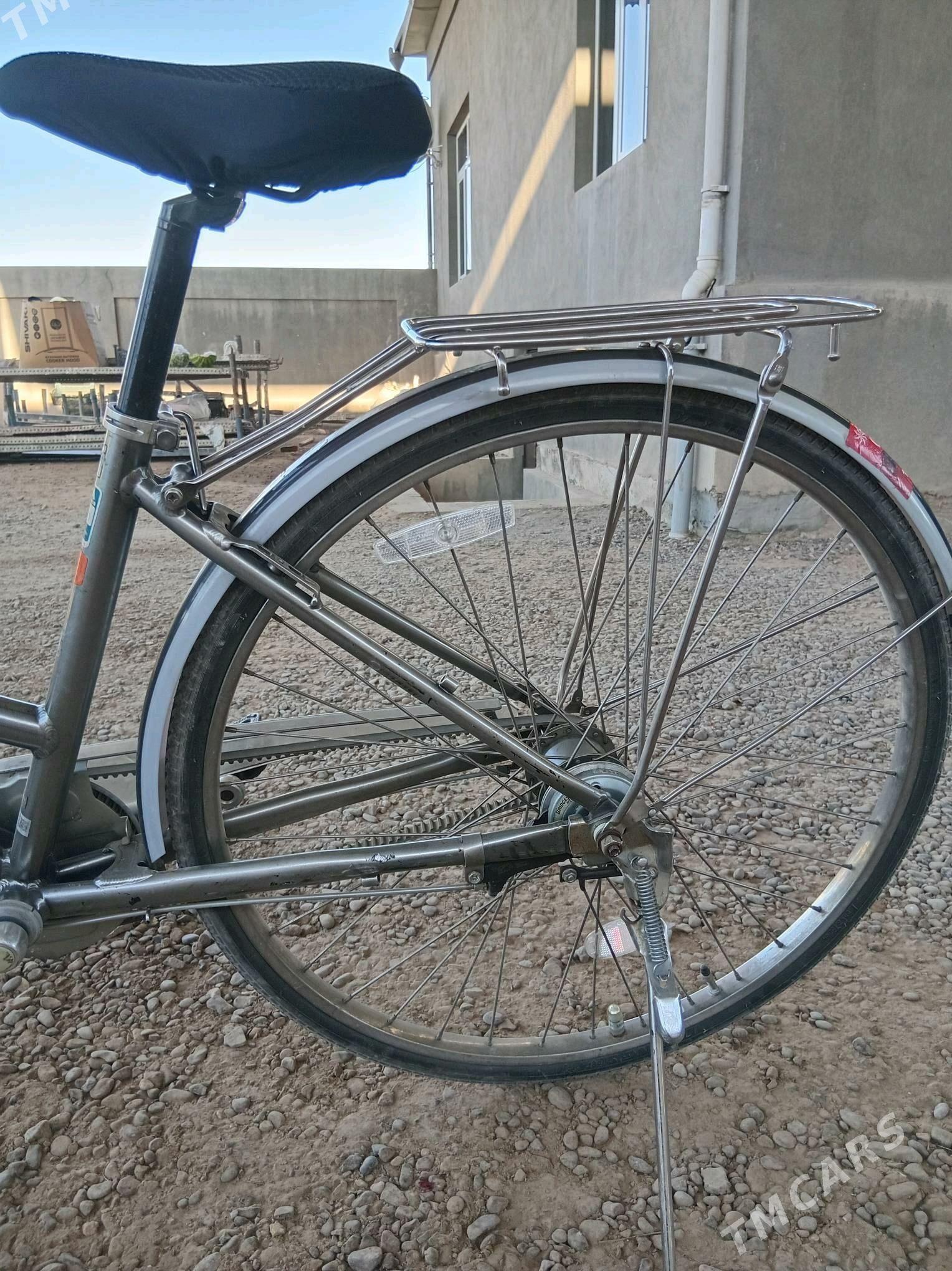 welisepet 27 lik - Mary - img 1