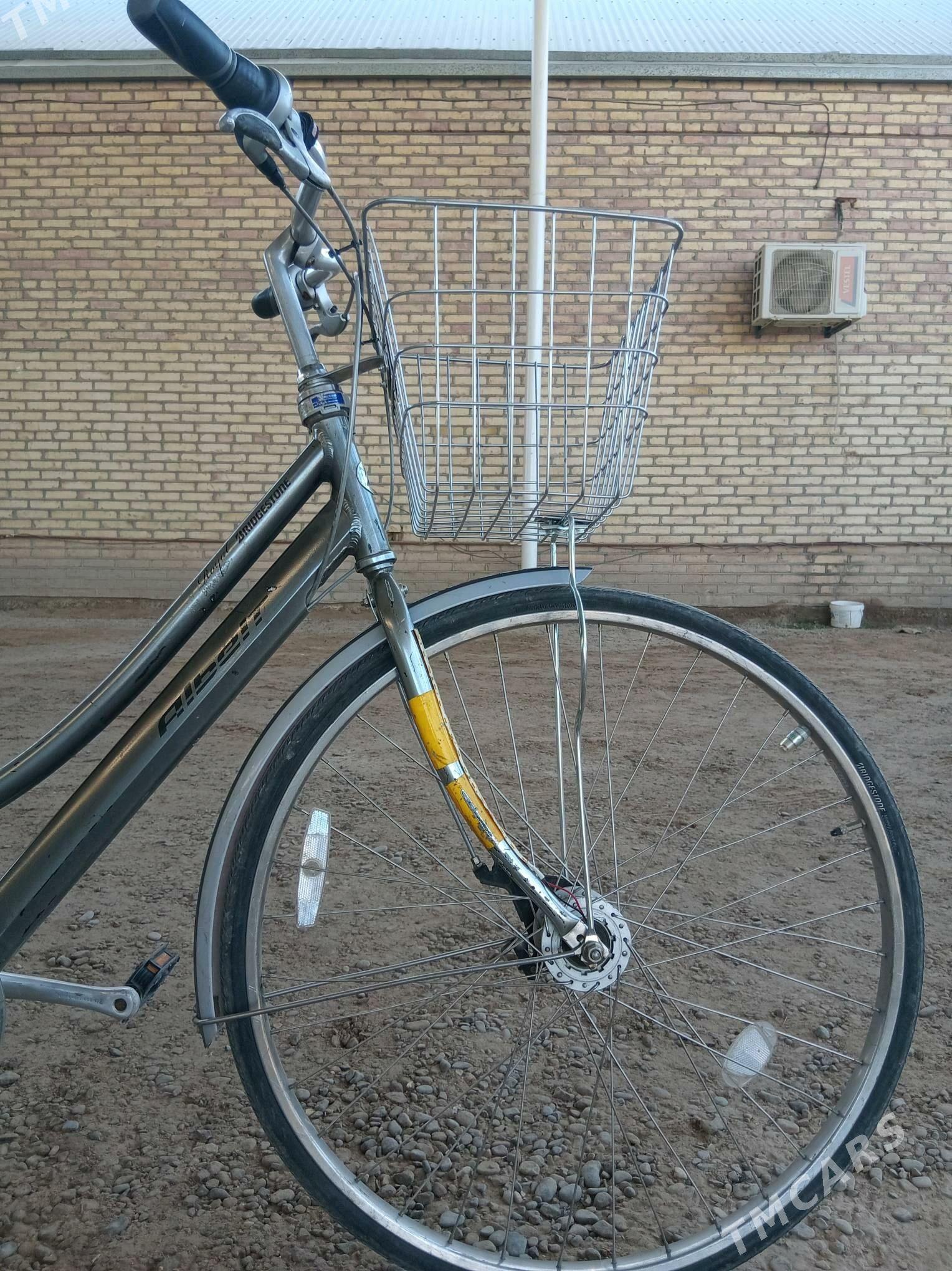 welisepet  27 lik - Mary - img 2