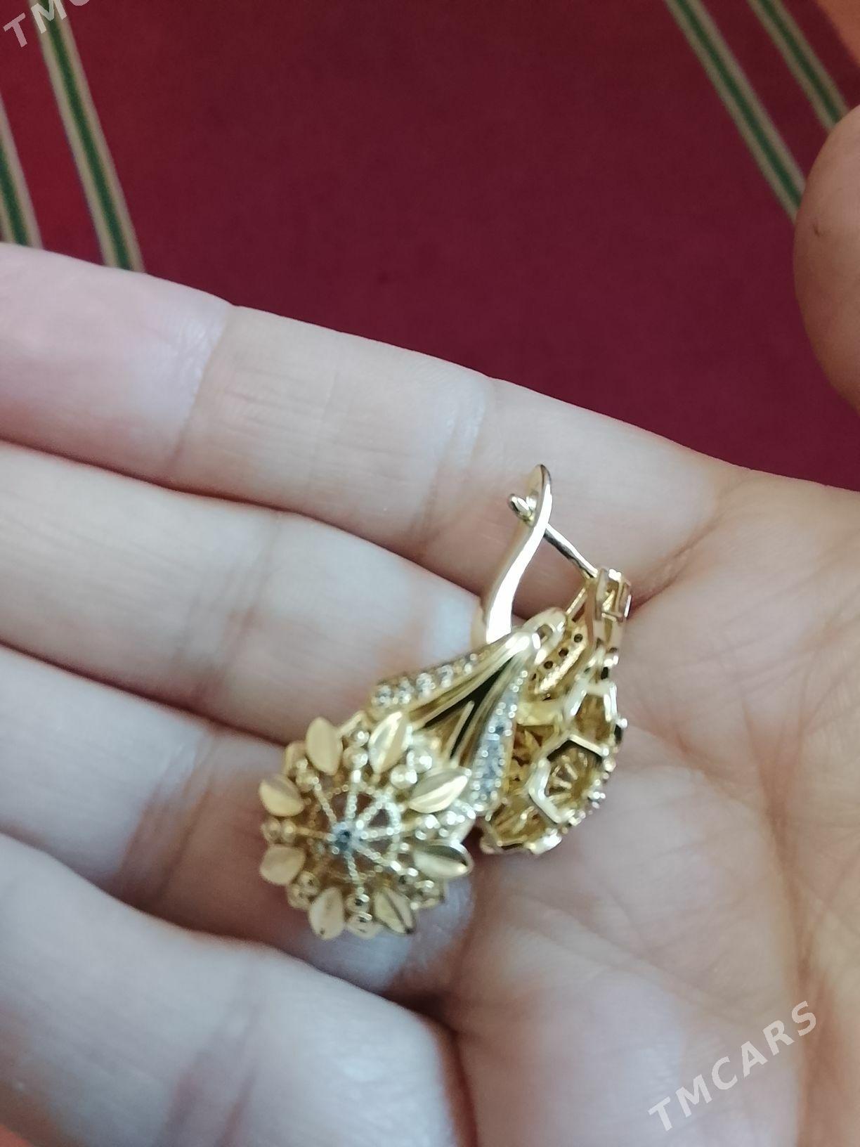 Чистин алтыны охшиды - Дашогуз - img 2