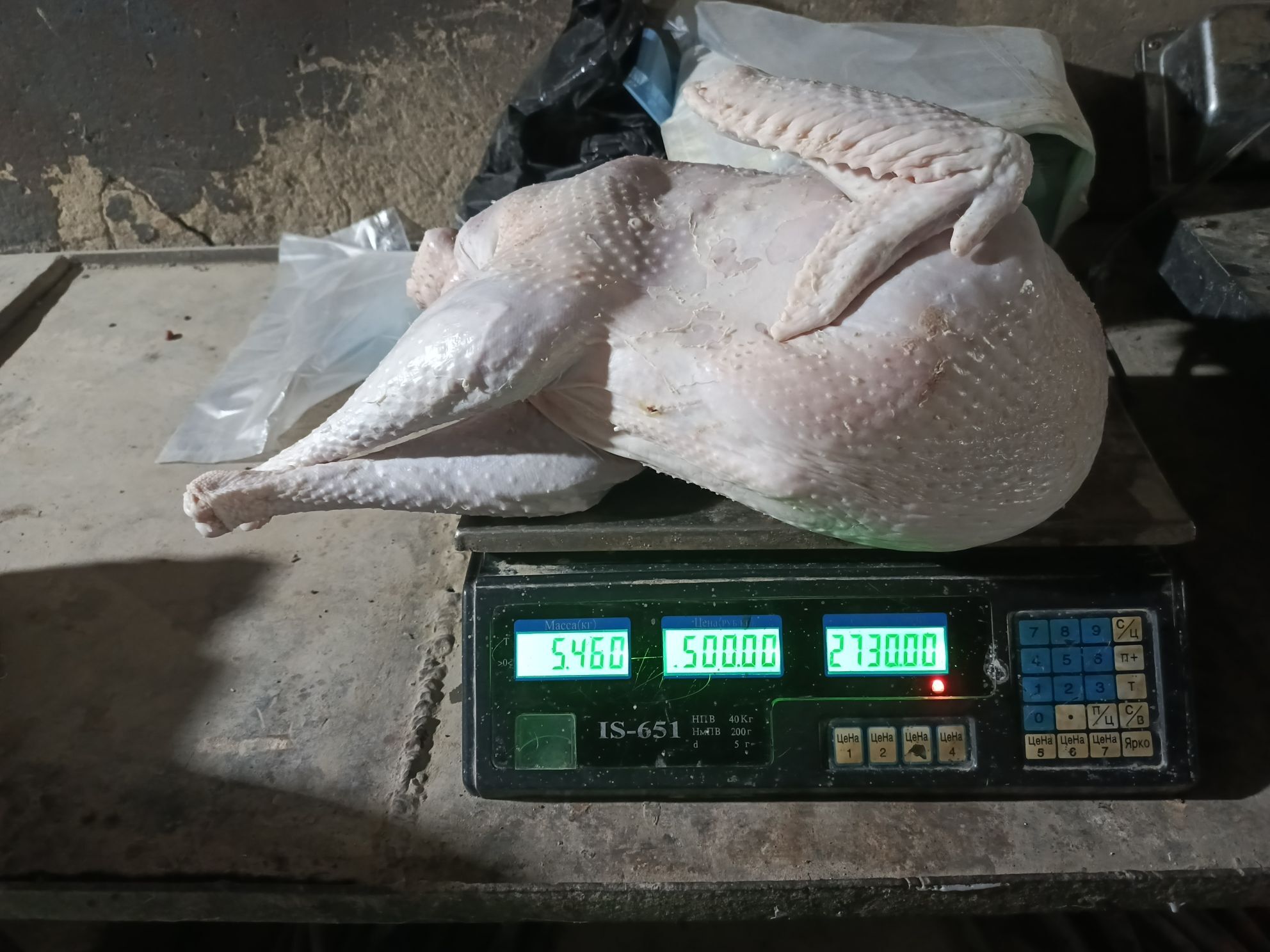 induk - Murgap - img 4