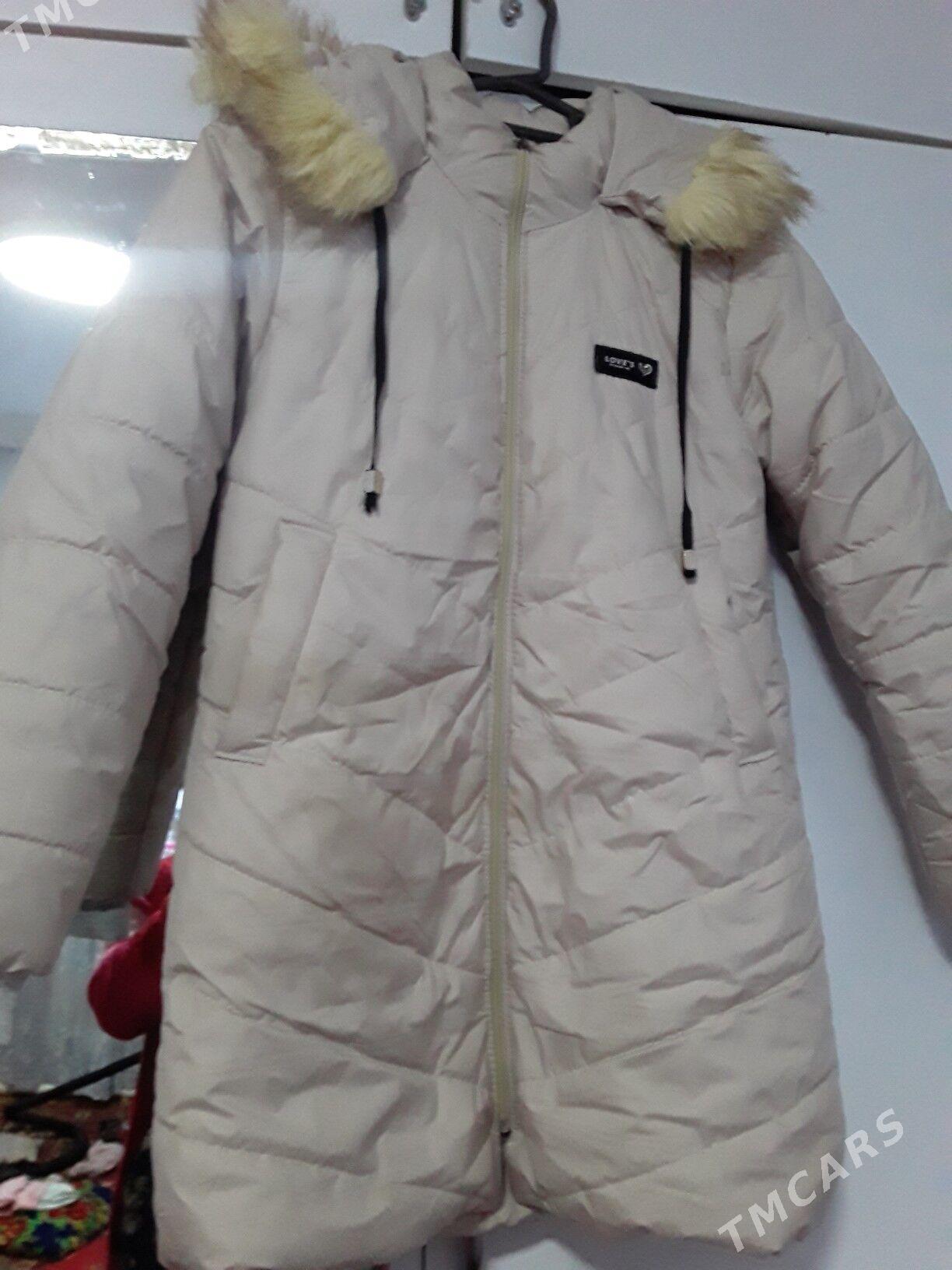 kurtga cagalar ucin - Türkmenabat - img 3