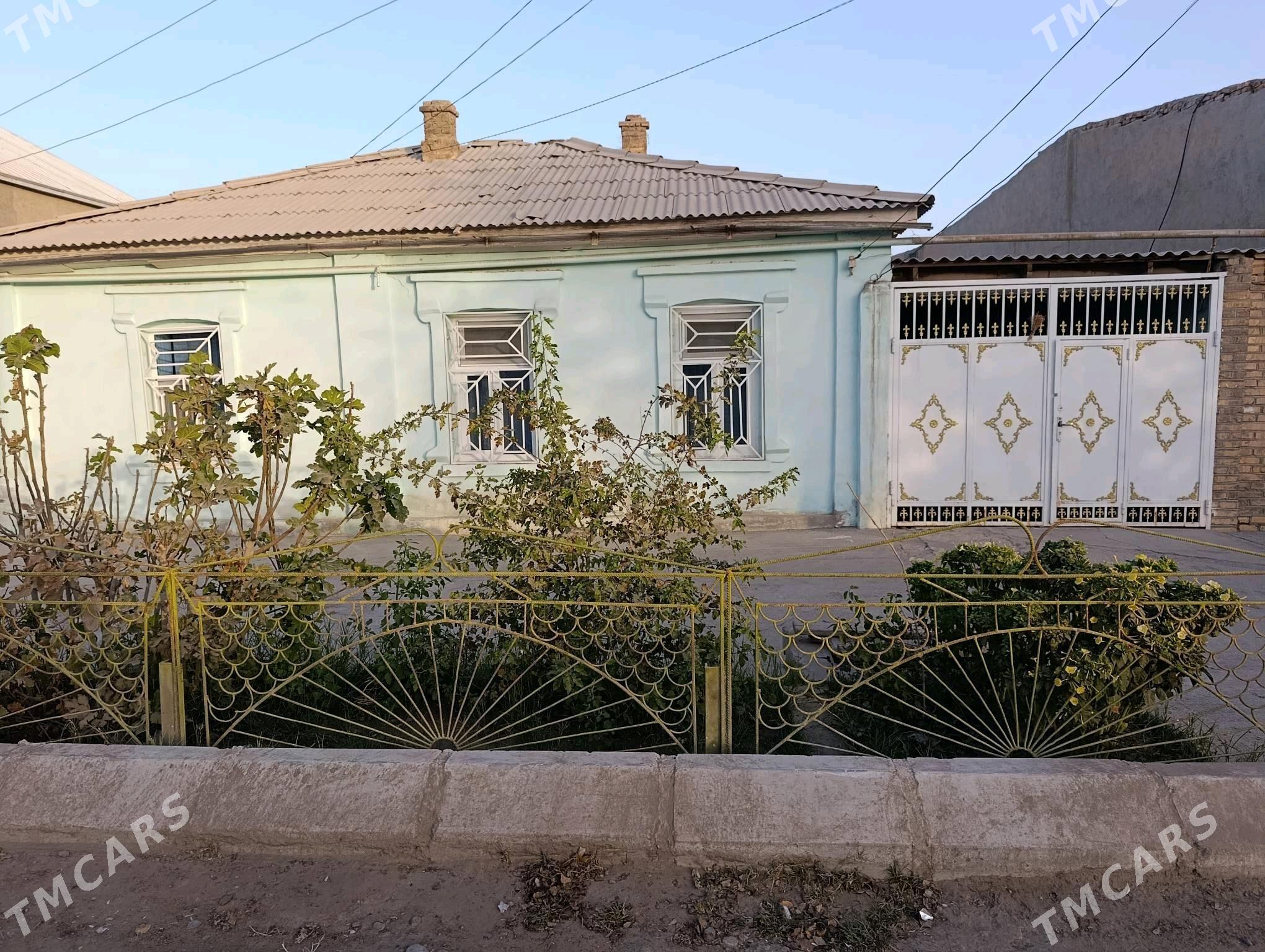 Howly jay - Ýolöten - img 3