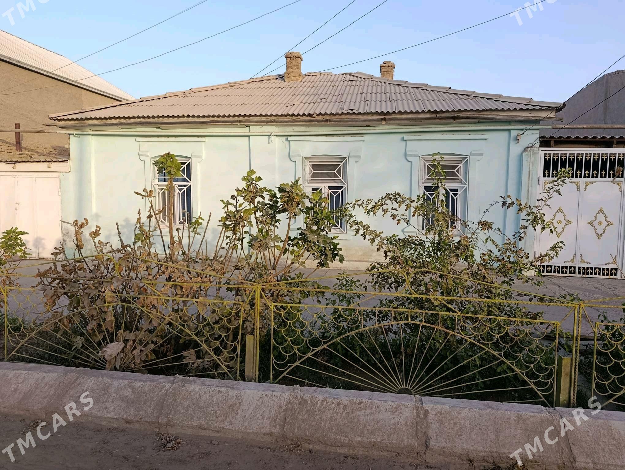 Howly jay - Ýolöten - img 4