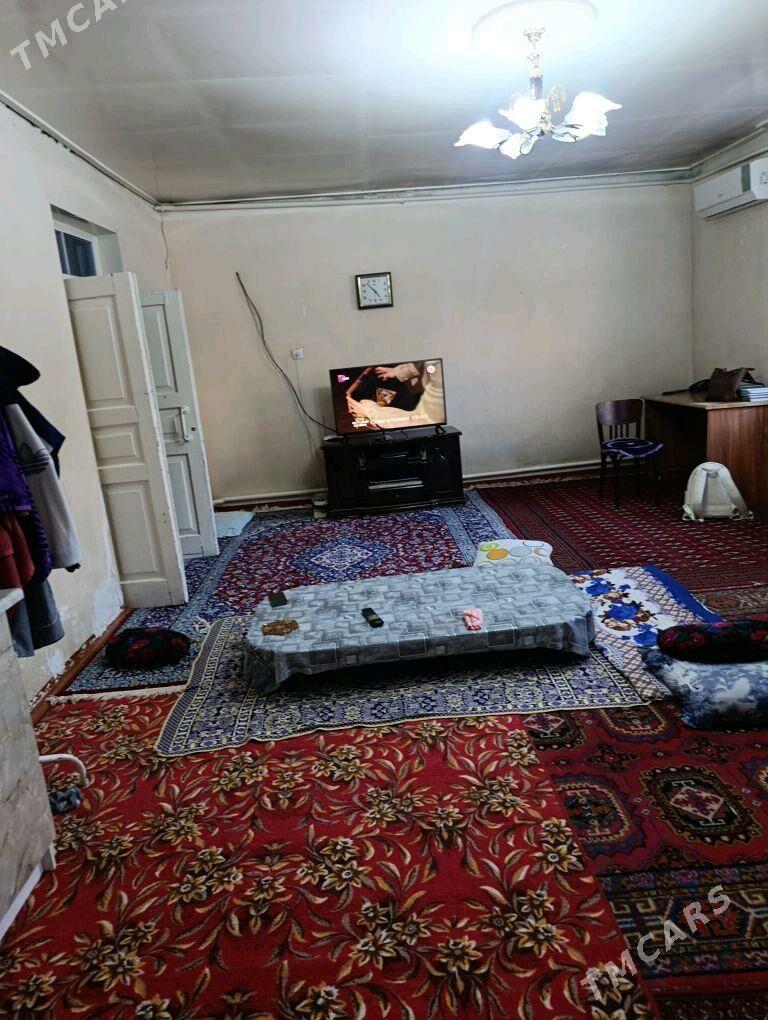 Howly jay - Ýolöten - img 2