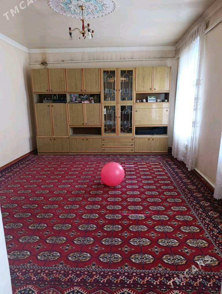 Howly jay - Ýolöten - img 1