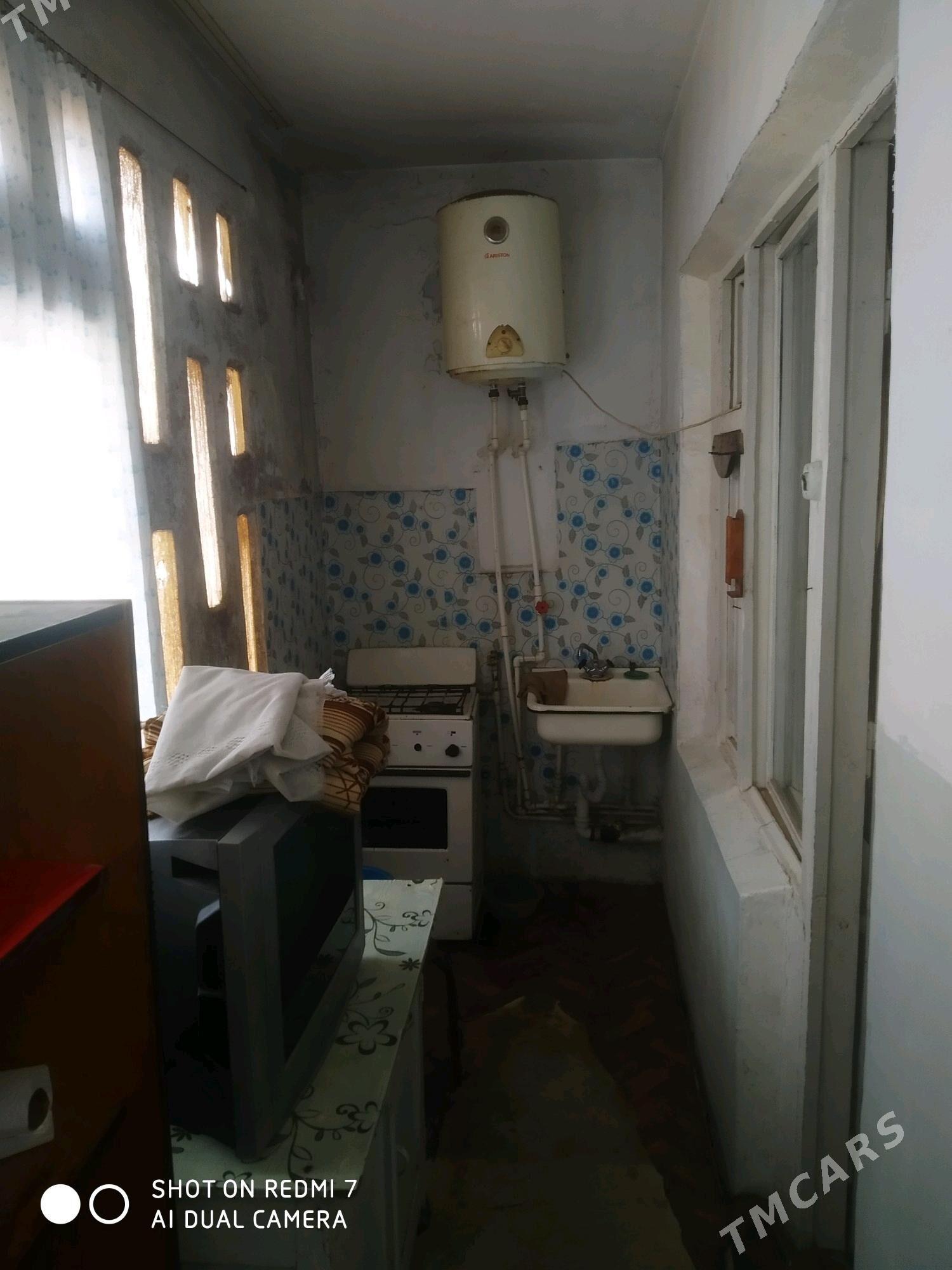 Arenda jay - Mary - img 3