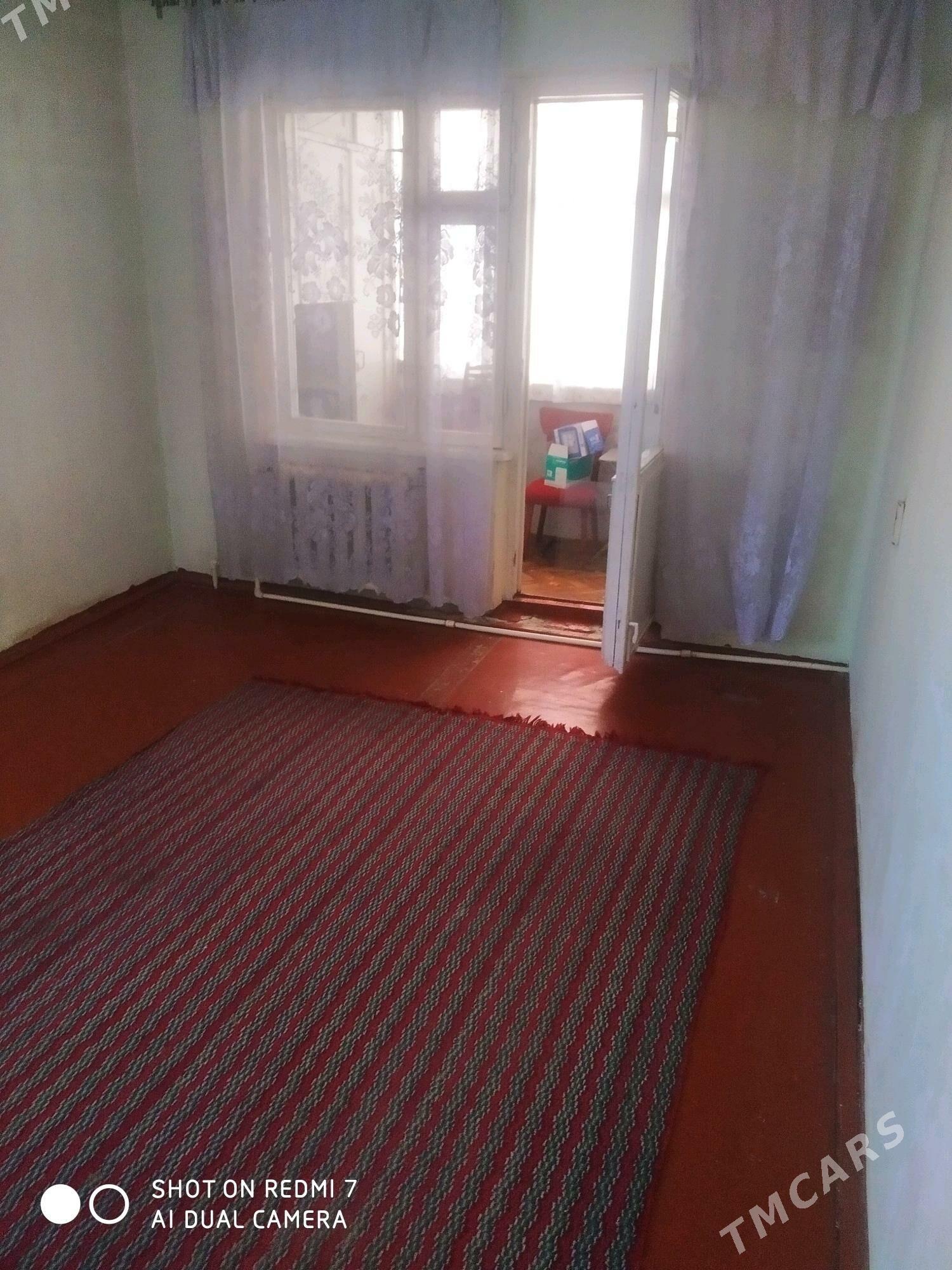 Arenda jay - Mary - img 1