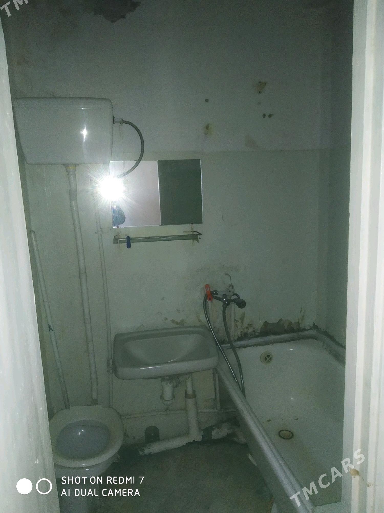 Arenda jay - Mary - img 2